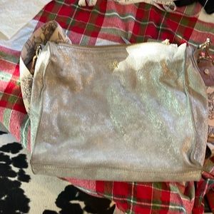 Erin Condren silver purse